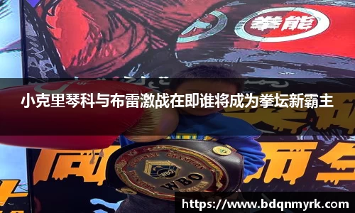 小克里琴科与布雷激战在即谁将成为拳坛新霸主