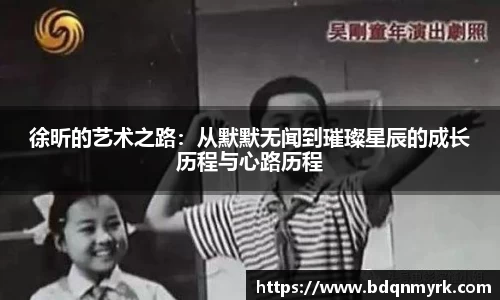 徐昕的艺术之路：从默默无闻到璀璨星辰的成长历程与心路历程