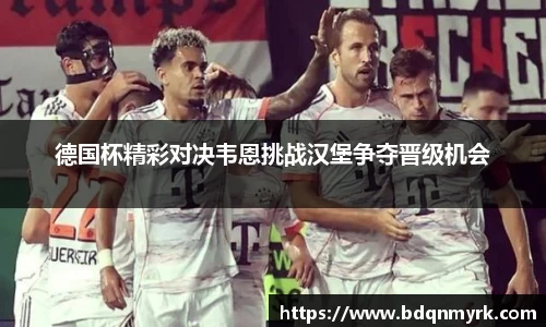 德国杯精彩对决韦恩挑战汉堡争夺晋级机会