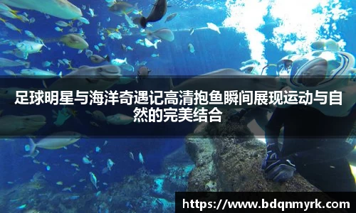 足球明星与海洋奇遇记高清抱鱼瞬间展现运动与自然的完美结合