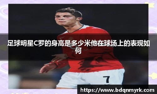 bsports官网入口